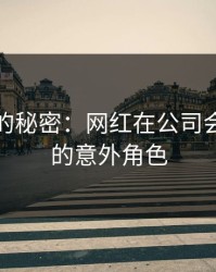 老司机的秘密：网红在公司会议室里的意外角色