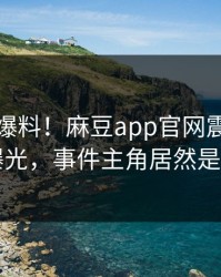 忍不住爆料！麻豆app官网震撼事件曝光，事件主角居然是…
