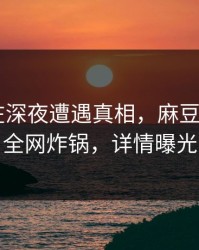 主持人在深夜遭遇真相，麻豆app官网全网炸锅，详情曝光