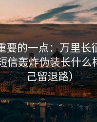 冷门但重要的一点：万里长征小说最常见的短信轰炸伪装长什么样（给自己留退路）
