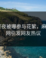 主持人深夜被曝参与花絮，麻豆app官网引发网友热议