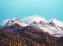 我当场就沉默了，黑料漫画的热度背后，是一堆人被迫交学费（别急着点）