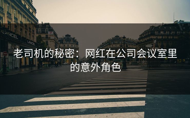老司机的秘密：网红在公司会议室里的意外角色